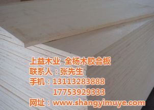 虎門膠合板 上益木業(yè) 進(jìn)口樺木膠合板